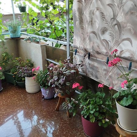 House In Borjomi Hotel Cameră foto
