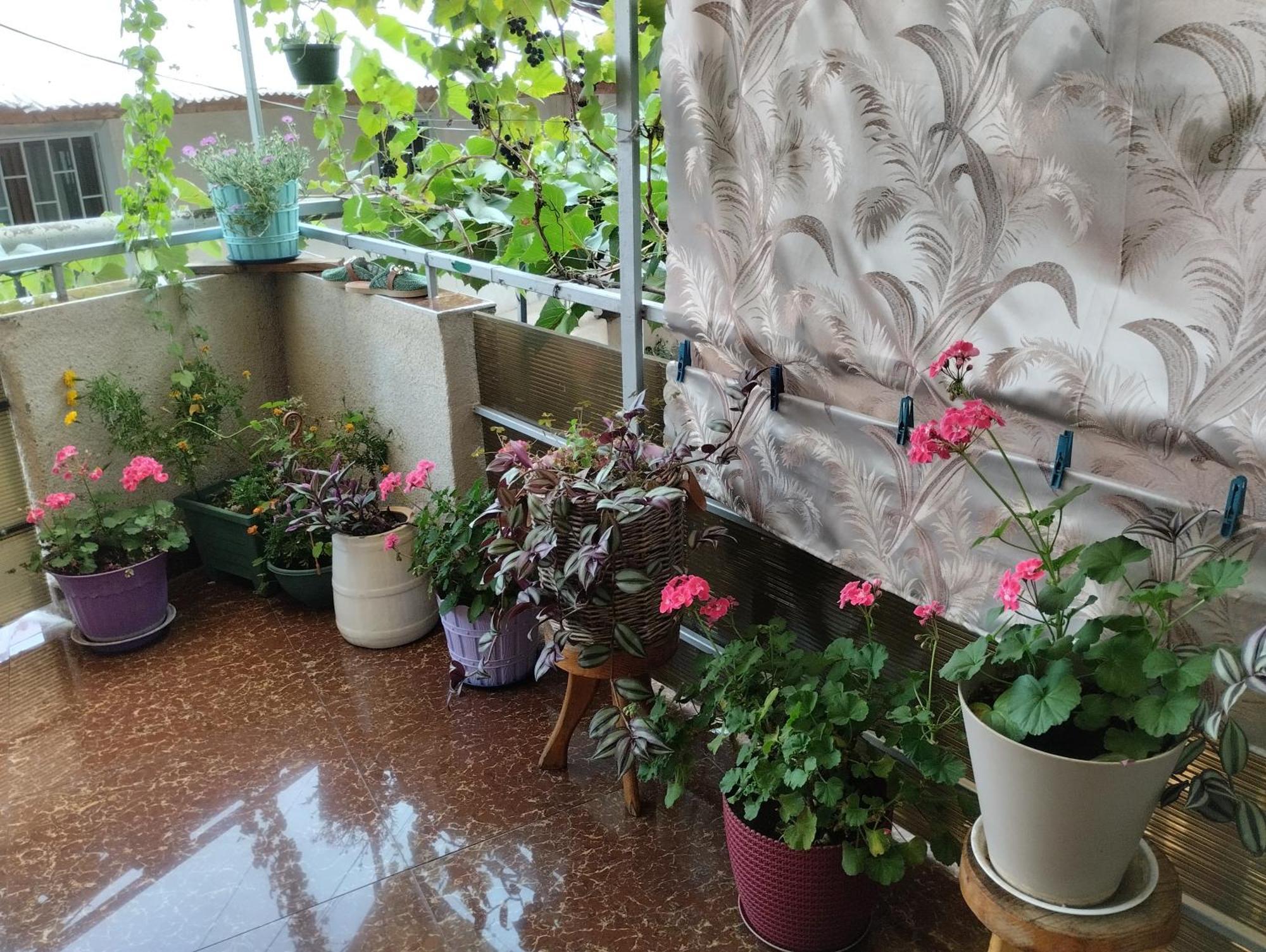 House In Borjomi Hotel Cameră foto